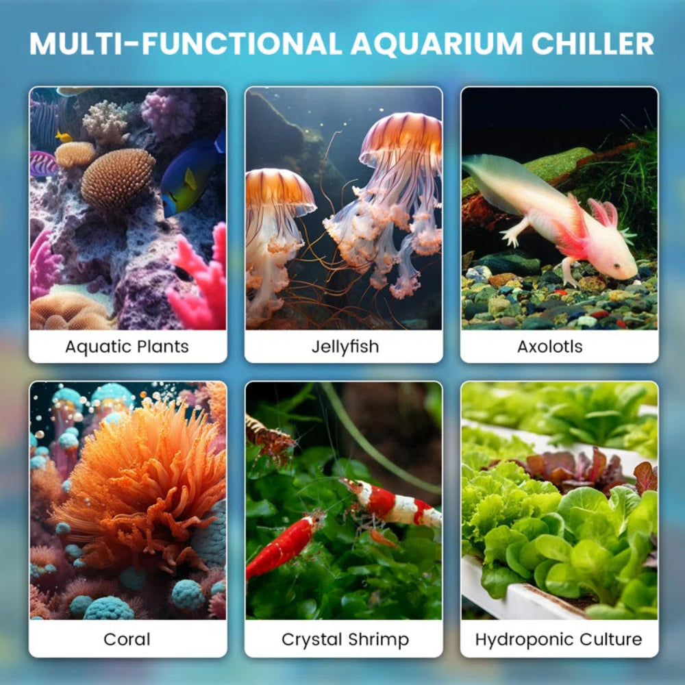 42/79 Gal Aquarium Chiller, 1/10&1/3 HP Fish Tank Water Chiller with Quiet Design Compressor, Refrigerator